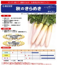 送料無料　大根　秋のきらめき　コート5千粒　渡辺農事（株）