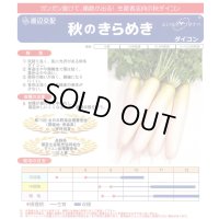 送料無料　大根　秋のきらめき　ペレット種子5千粒　渡辺農事（株）