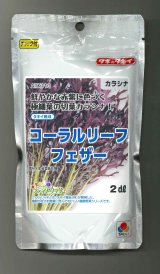 送料無料　からしな　コーラルリーフフェザー　2dl　タキイ種苗（株）