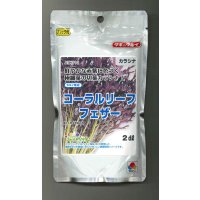 送料無料　からしな　コーラルリーフフェザー　2dl　タキイ種苗（株）