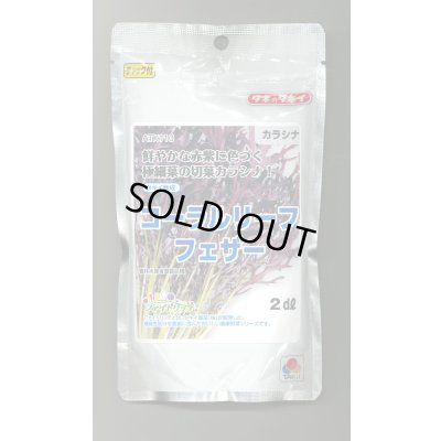 画像1: 送料無料　からしな　コーラルリーフフェザー　2dl　タキイ種苗（株）