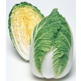 送料無料　[白菜]　きらぼし90　ペレット5千粒　タキイ種苗(株)