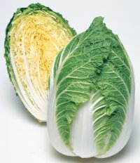 送料無料　[白菜]　きらぼし90　ペレット5千粒　タキイ種苗(株)
