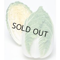 送料無料　[白菜]　きらぼし90　ペレット5千粒　タキイ種苗(株)