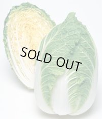 送料無料　[白菜]　きらぼし90　ペレット5千粒　タキイ種苗(株)