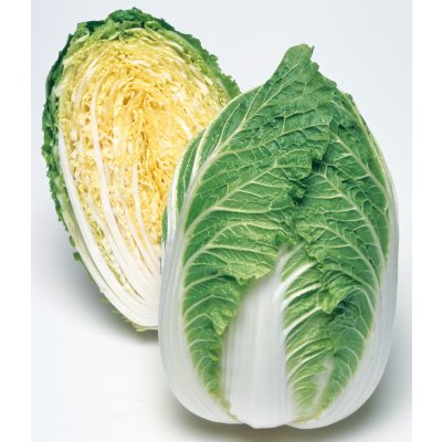 画像1: 送料無料　[白菜]　きらぼし90　ペレット5千粒　タキイ種苗(株)