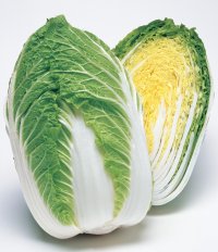 送料無料　[白菜]　きらぼし85　ペレット5千粒　タキイ種苗(株)