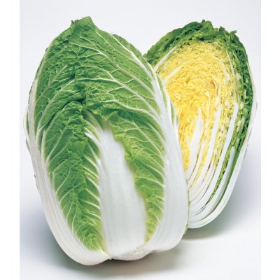 画像1: 送料無料　[白菜]　きらぼし85　ペレット5千粒　タキイ種苗(株)