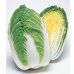 画像1: 送料無料　[白菜]　きらぼし85　ペレット5千粒　タキイ種苗(株) (1)