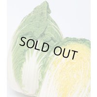 送料無料　[白菜]　黄づつみ95　ペレット5千粒　タキイ種苗(株)