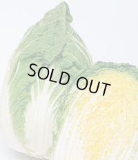 送料無料　[白菜]　黄づつみ95　ペレット5千粒　タキイ種苗(株)