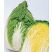 画像1: 送料無料　[白菜]　黄づつみ95　ペレット5千粒　タキイ種苗(株) (1)