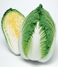 送料無料　[白菜]　黄ごころ90　ペレット5千粒　タキイ種苗（株）