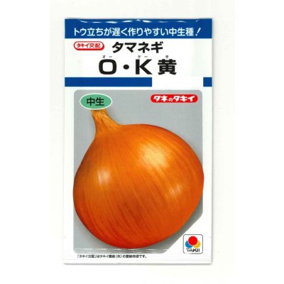 画像1: 送料無料　[たまねぎ]　O・K黄　6.5ml(約780粒)　タキイ種苗(株)　DF