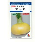 送料無料　[たまねぎ]　マッハ　4.5ml(約580粒)　タキイ種苗(株)　DF
