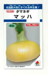 送料無料　[たまねぎ]　マッハ　4.5ml(約580粒)　タキイ種苗(株)　DF