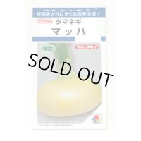 送料無料　[たまねぎ]　マッハ　4.5ml(約580粒)　タキイ種苗(株)　DF