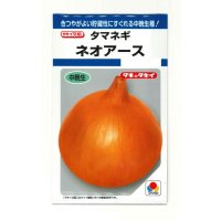送料無料　[たまねぎ]　ネオアース　4.5ml(約650粒)　タキイ種苗(株)　DF