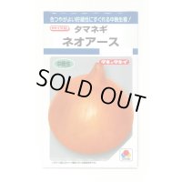 送料無料　[たまねぎ]　ネオアース　4.5ml(約650粒)　タキイ種苗(株)　DF