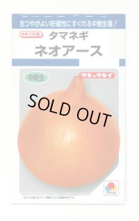 送料無料　[たまねぎ]　ネオアース　4.5ml(約650粒)　タキイ種苗(株)　DF