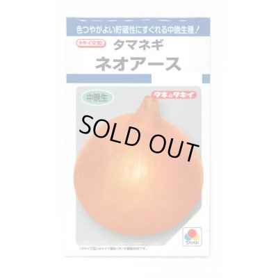 画像1: 送料無料　[たまねぎ]　ネオアース　4.5ml(約650粒)　タキイ種苗(株)　DF
