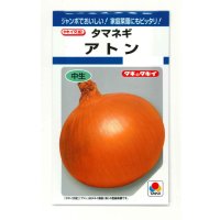 送料無料　[たまねぎ]　アトン　5.5ml(約650粒)　タキイ種苗(株)　DF