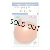 送料無料　[たまねぎ]　アトン　5.5ml(約650粒)　タキイ種苗(株)　DF