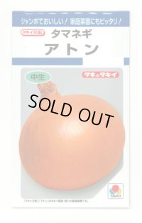 送料無料　[たまねぎ]　アトン　5.5ml(約650粒)　タキイ種苗(株)　DF