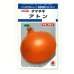 画像1: 送料無料　[たまねぎ]　アトン　5.5ml(約650粒)　タキイ種苗(株)　DF (1)