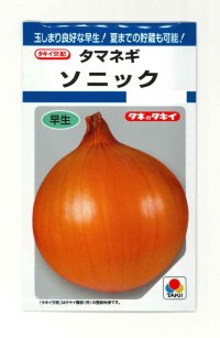 送料無料　[たまねぎ]　ソニック　4.5ml(約520粒)　タキイ種苗(株)　DF