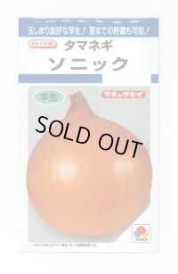 送料無料　[たまねぎ]　ソニック　4.5ml(約520粒)　タキイ種苗(株)　DF