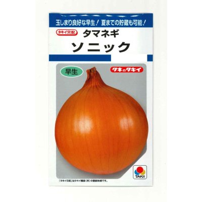 画像1: 送料無料　[たまねぎ]　ソニック　4.5ml(約520粒)　タキイ種苗(株)　DF