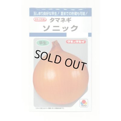 画像1: 送料無料　[たまねぎ]　ソニック　4.5ml(約520粒)　タキイ種苗(株)　DF