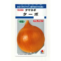 送料無料　[たまねぎ]　ターボ　5.5ml(約580粒)　タキイ種苗(株)　DF