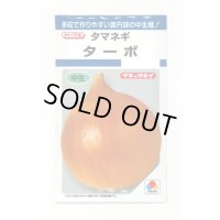 送料無料　[たまねぎ]　ターボ　5.5ml(約730粒)　タキイ種苗(株)　DF