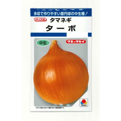 画像1: 送料無料　[たまねぎ]　ターボ　5.5ml(約730粒)　タキイ種苗(株)　DF