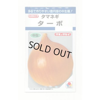 画像1: 送料無料　[たまねぎ]　ターボ　5.5ml(約580粒)　タキイ種苗(株)　DF