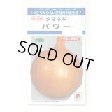 送料無料　[たまねぎ]　パワー　6ml　(約730粒)　タキイ種苗(株)　DF