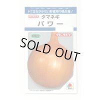 送料無料　[たまねぎ]　パワー　6ml　(約730粒)　タキイ種苗(株)　DF