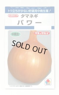 送料無料　[たまねぎ]　パワー　6ml　(約730粒)　タキイ種苗(株)　DF
