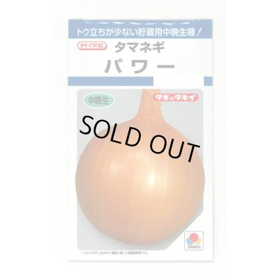 画像1: 送料無料　[たまねぎ]　パワー　6ml　(約730粒)　タキイ種苗(株)　DF