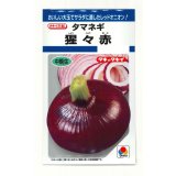 送料無料　[たまねぎ]　猩々赤　5.5ml(約720粒)　タキイ種苗(株)　DF