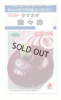 送料無料　[たまねぎ]　猩々赤　5.5ml(約720粒)　タキイ種苗(株)　DF