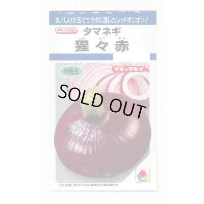 画像1: 送料無料　[たまねぎ]　猩々赤　5.5ml(約720粒)　タキイ種苗(株)　DF