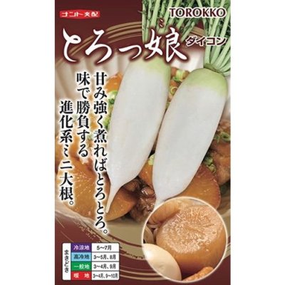 画像1: 送料無料　[大根]　とろっ娘　小袋　ナント種苗(株)
