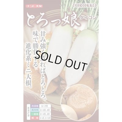 画像1: [大根] とろっ娘 小袋 ナント種苗(株)