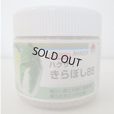 画像1: 送料無料　[白菜]　きらぼし85　ペレット5千粒　タキイ種苗(株)