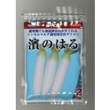 送料無料　[大根]　濱のはる　2dl　(株)サカタのタネ