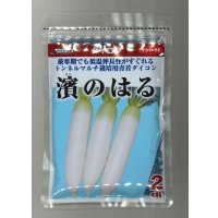 送料無料　[大根]　濱のはる　2dl　(株)サカタのタネ