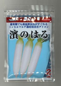 送料無料　[大根]　濱のはる　2dl　(株)サカタのタネ